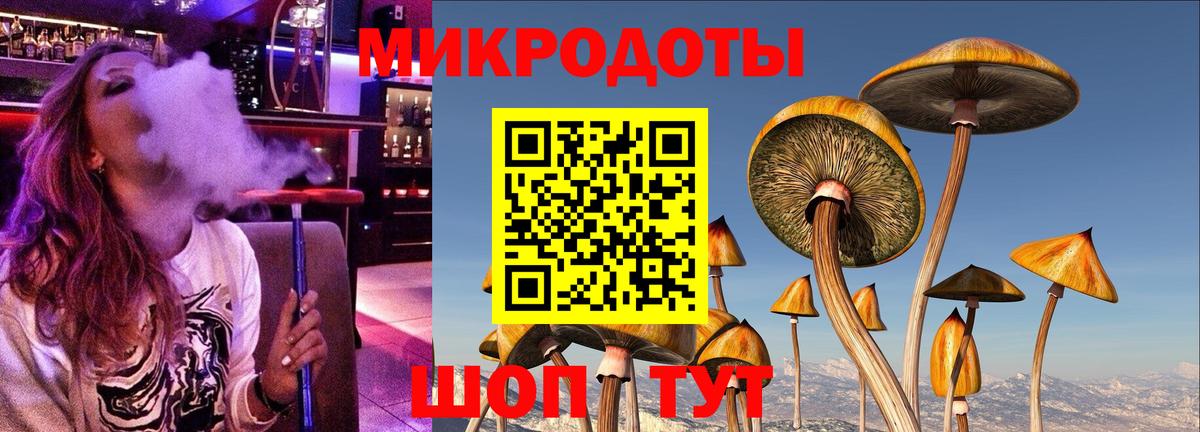 наркотики  Вход с VPN  Вязьма  Псилоцибиновые грибы мицелий  Псилоцибиновые грибы мицелий 